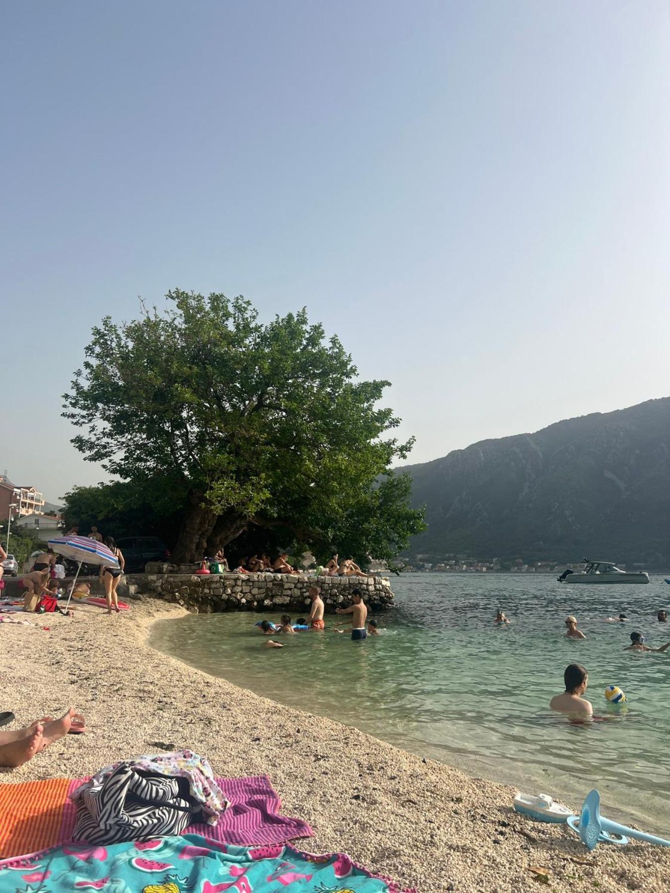 Apartments 101 Κότορ Εξωτερικό φωτογραφία